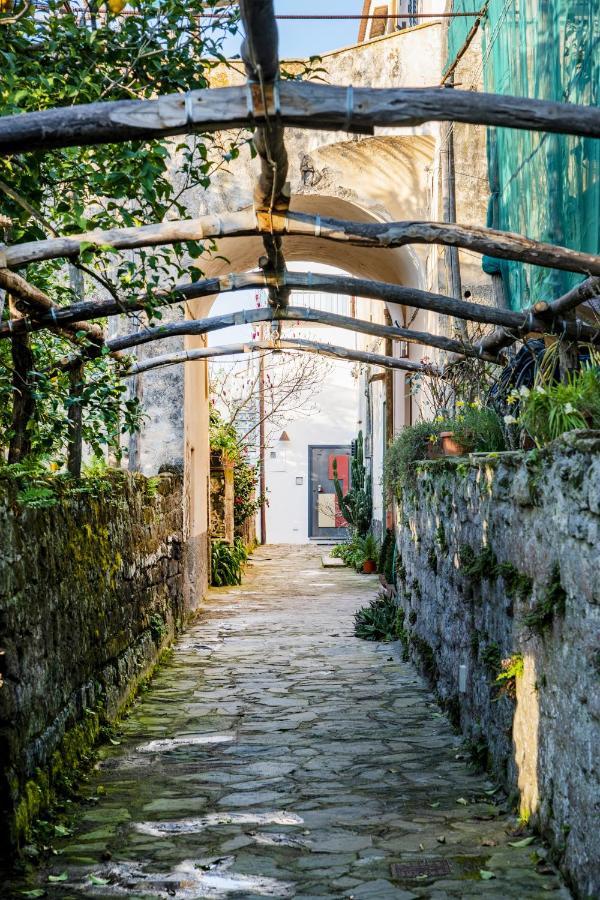 Mirasole House Βίλα Massa Lubrense Εξωτερικό φωτογραφία